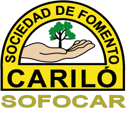 SOFOCAR